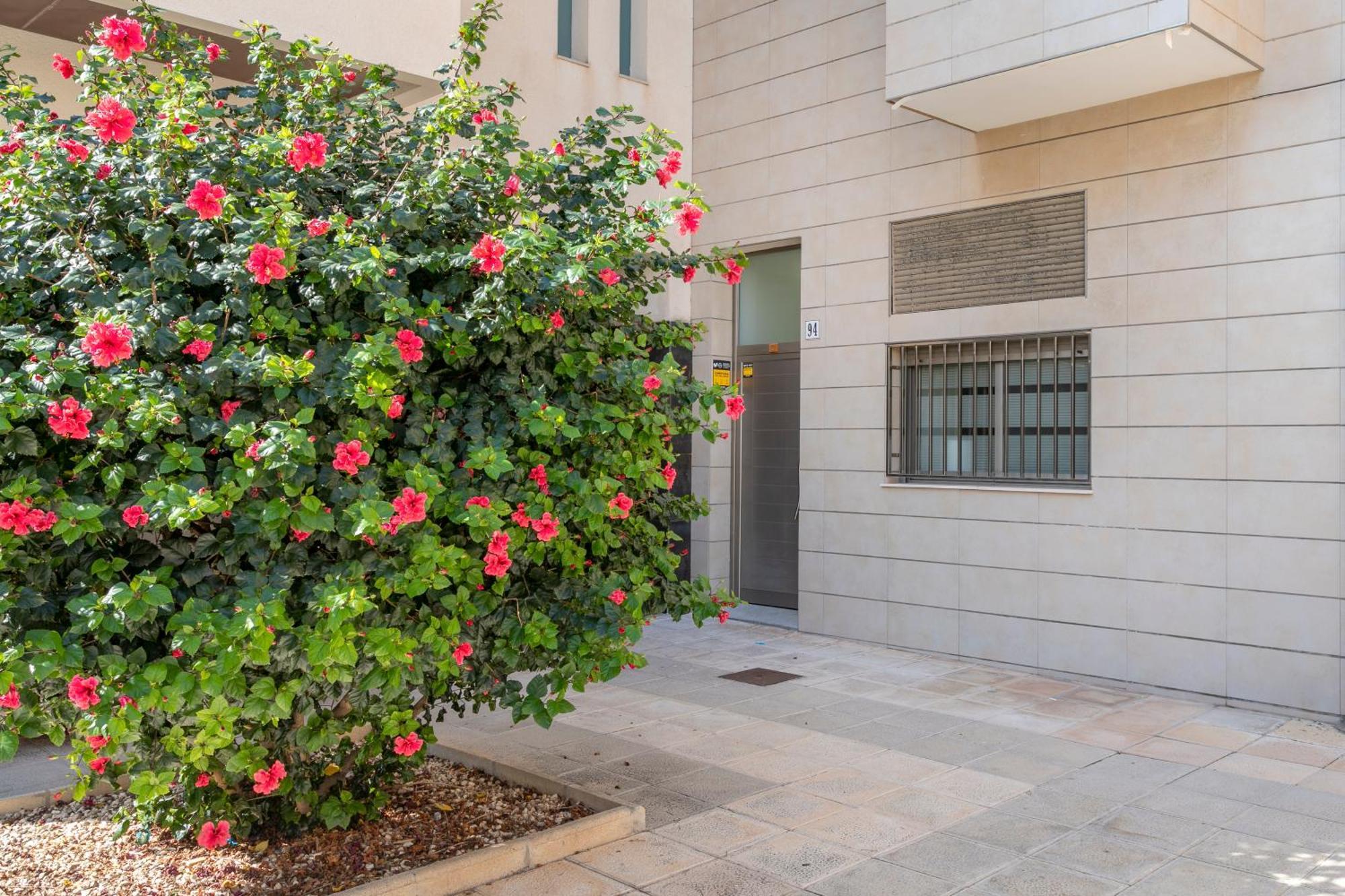 La Casita De Mauro Apartment El Campello Ngoại thất bức ảnh
